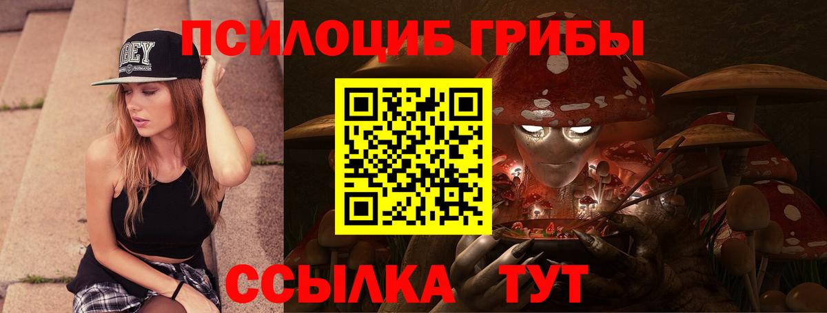 Псилоцибиновые грибы Psilocybe  Вход с VPN  Лесной 